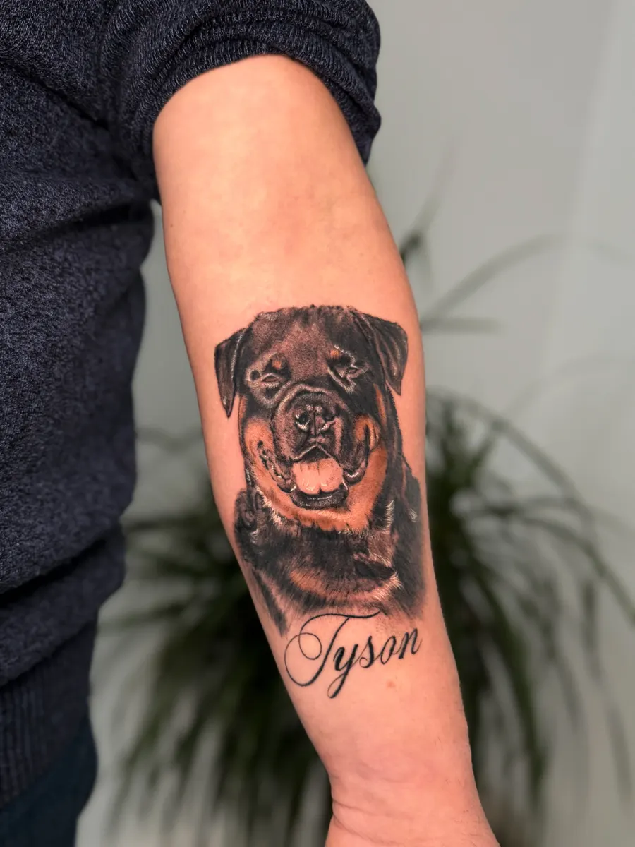 Retrato a color de un rottweiler tatuado en el antebrazo con el nombre Tyson en cursiva