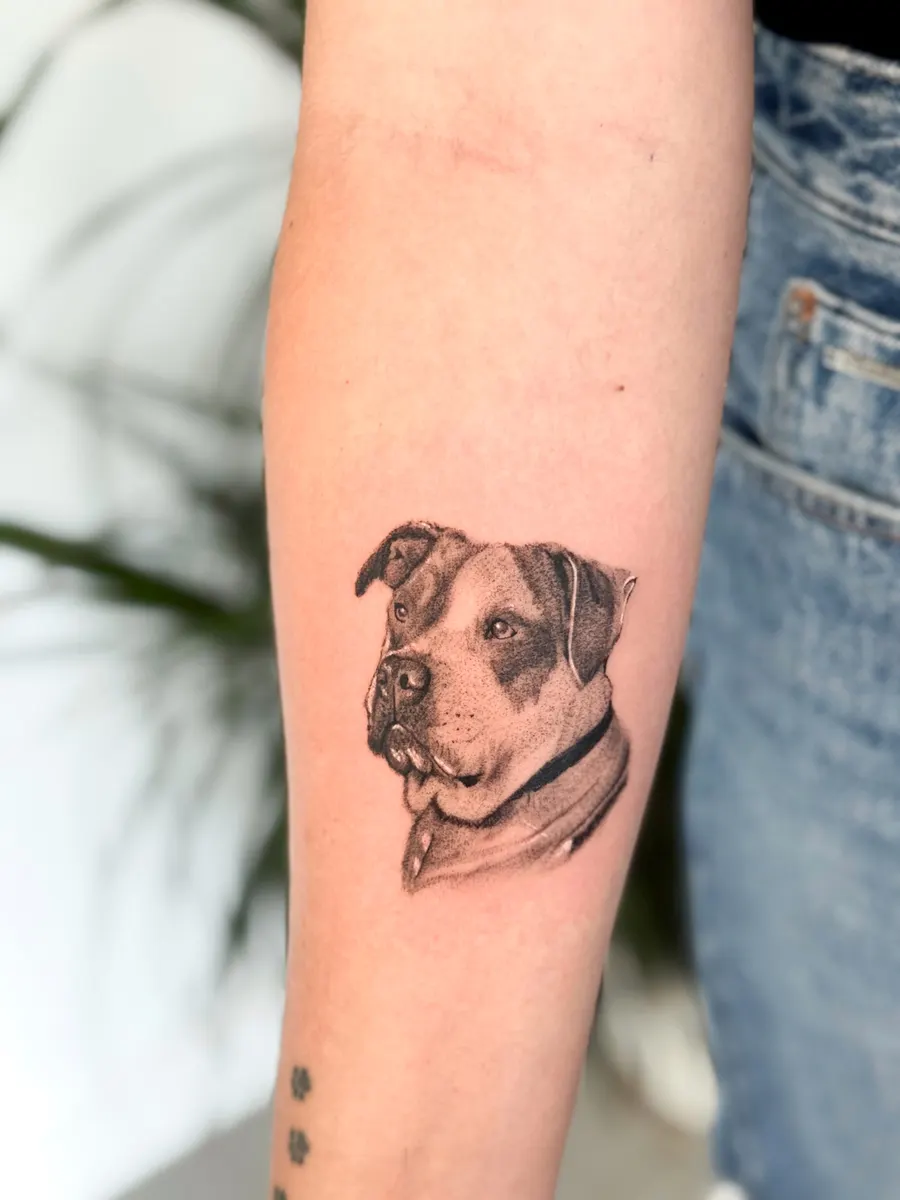 Retrato de perro bicolor en microrrealismo negro y gris en el antebrazo