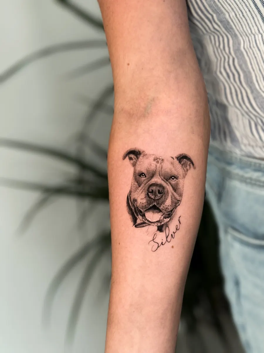 Retrato de staffordshire sonriente tatuado en el antebrazo con el nombre Silver en cursiva