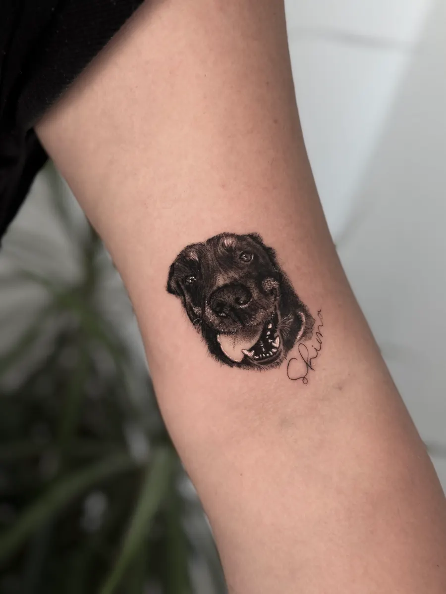 Retrato de labrador negro en microrrealismo en el brazo, con el nombre Shiva en letra fina